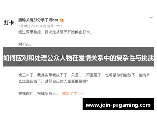 如何应对和处理公众人物在爱情关系中的复杂性与挑战