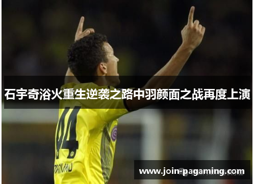 石宇奇浴火重生逆袭之路中羽颜面之战再度上演