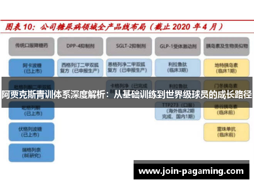 阿贾克斯青训体系深度解析：从基础训练到世界级球员的成长路径