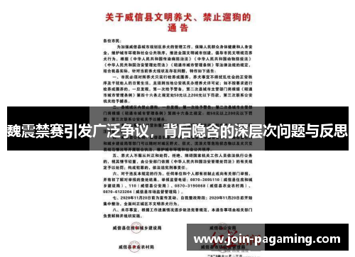 魏震禁赛引发广泛争议,背后隐含的深层次问题与反思 魏震禁赛引发广泛争议,背后隐含的深层次问题与反思