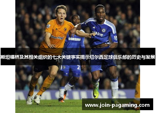 斯坦福桥及其相关组织的七大关键事实揭示切尔西足球俱乐部的历史与发展 斯坦福桥及其相关组织的七大关键事实揭示切尔西足球俱乐部的历史与发展