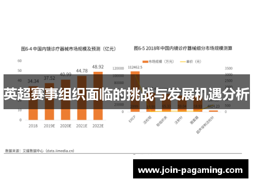 英超赛事组织面临的挑战与发展机遇分析 英超赛事组织面临的挑战与发展机遇分析